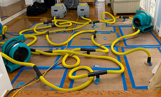 Professional Structural Drying And Dehumidification technician working in Chandler, MN